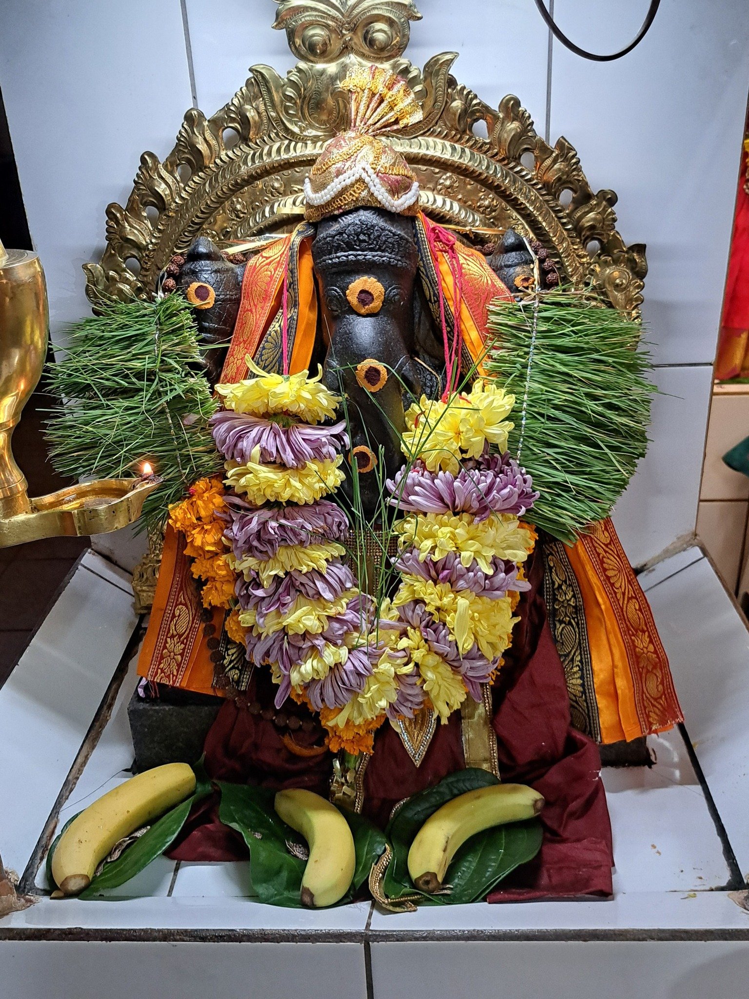 552472587_1206353898203223_685550150421049950_n