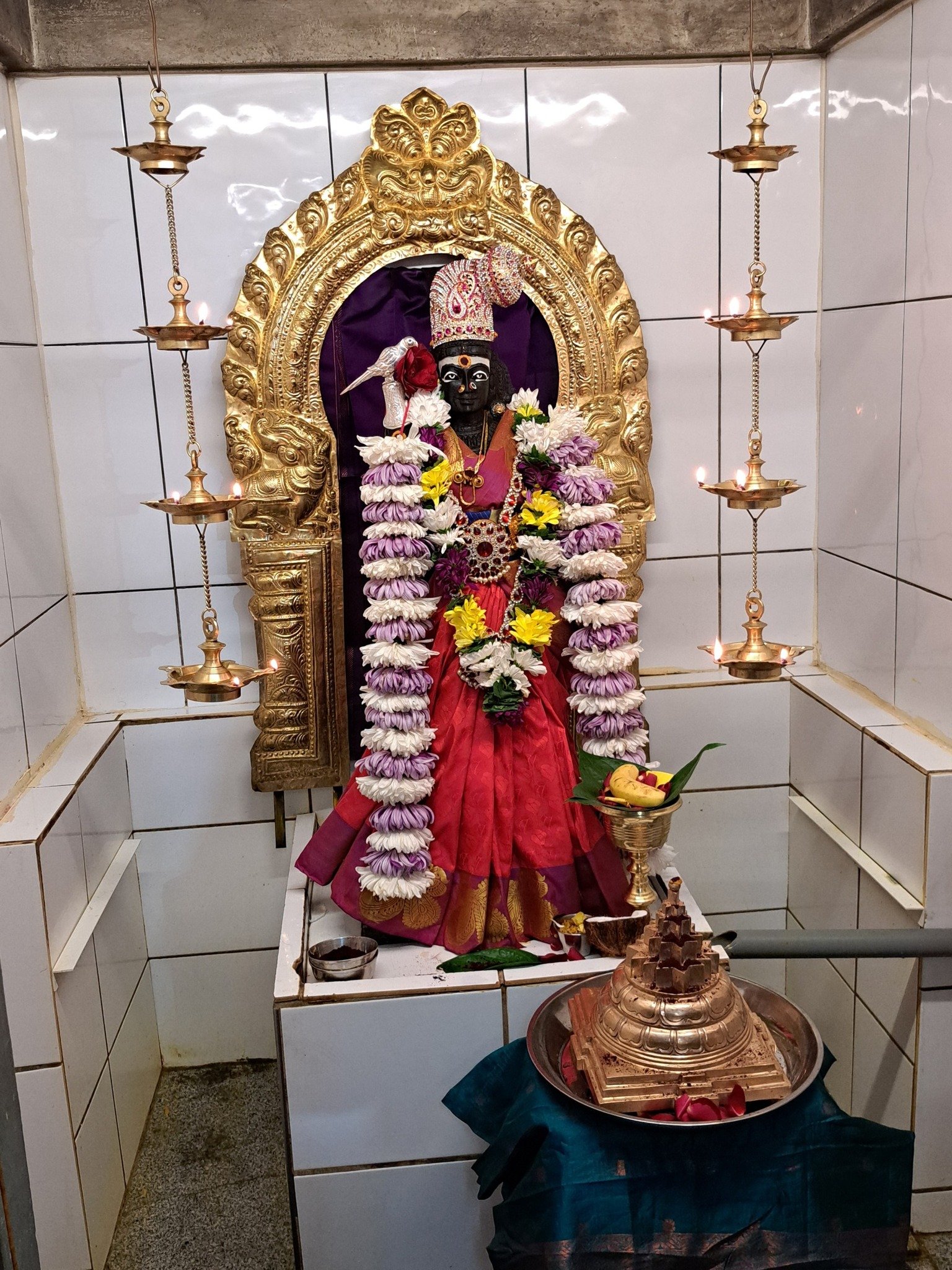 552780010_1206353848203228_1492680137993240157_n