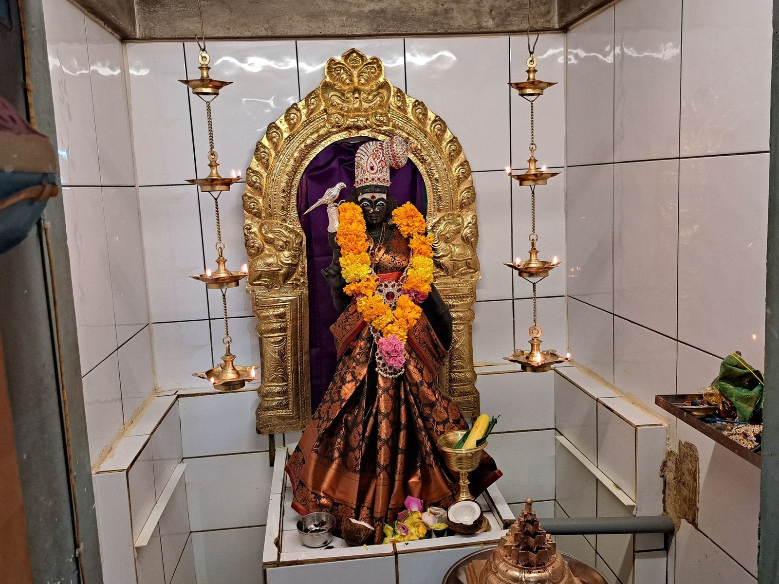 552932045_1205483314956948_6566056277635414902_n