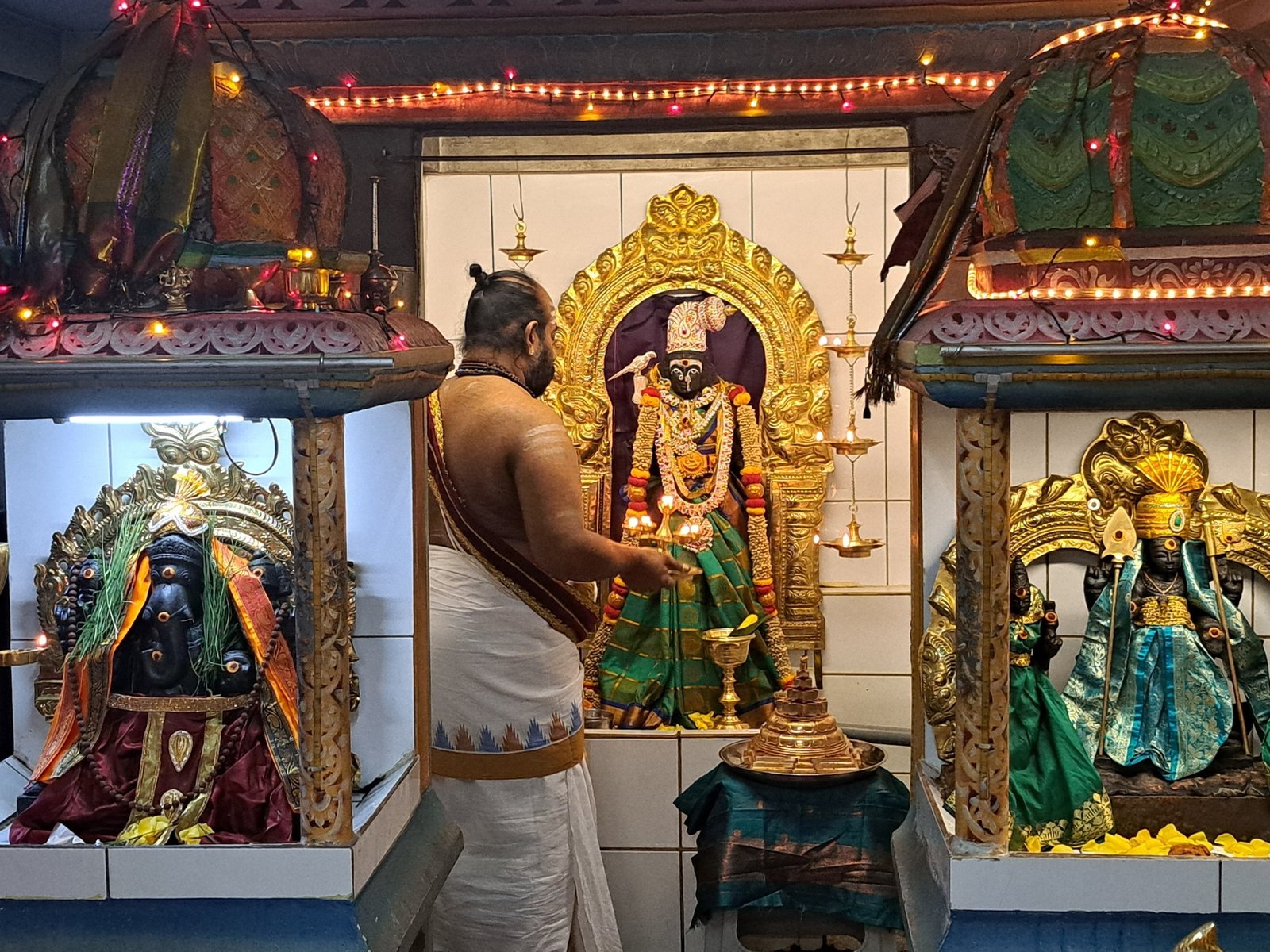 555525107_1207178608120752_1536747551173058864_n