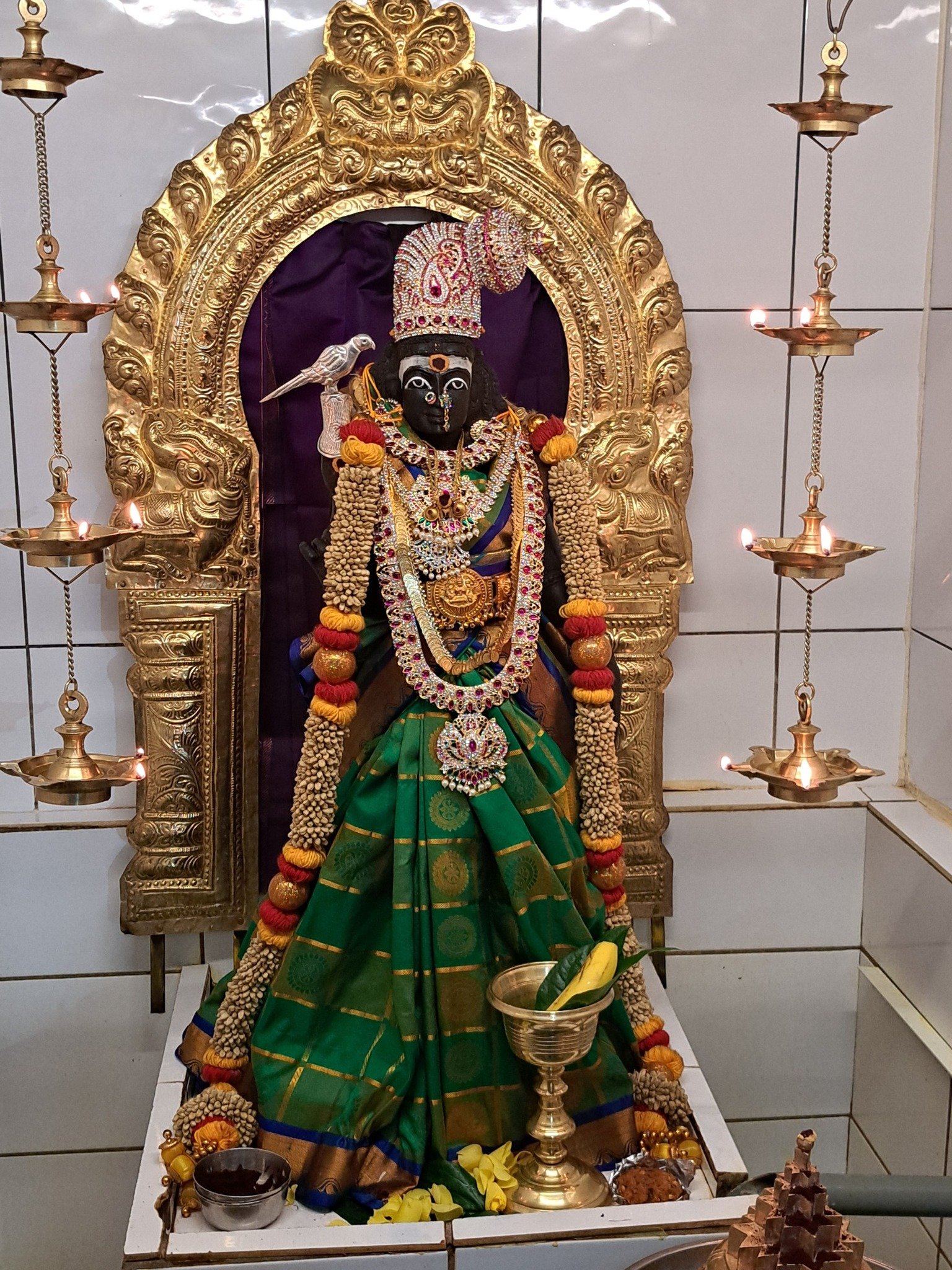 555582860_1207178414787438_4740348304586633817_n